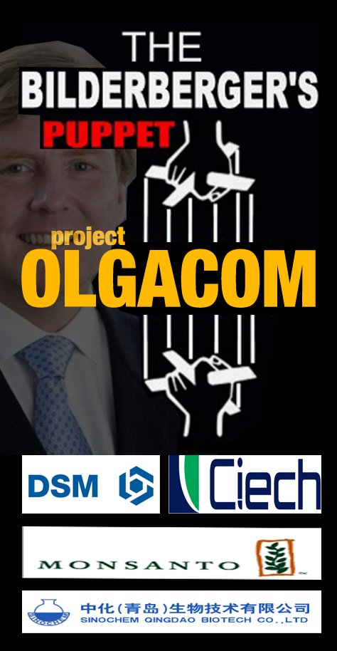 olgacom project company overview