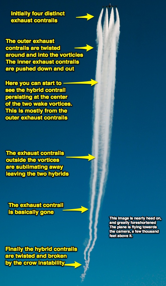Development of a the hybrid portions of a contrail are shown from the initial four separate exhaust contrails, though to just the two hybrid contrails and crow instability breakup. 