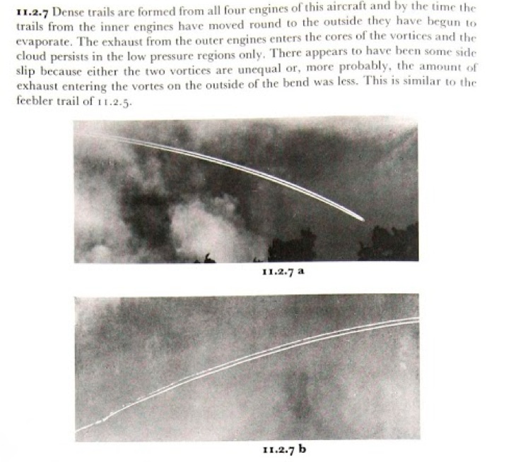 This 1972 book, Clouds of the World, discusses the formation of Hybrid contrails. But does not give them a particular name. 